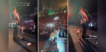 ¡Insólita aparición! Perrito roba show a Auténticos Decadentes al subir al escenario