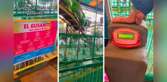 Ate: niña de un año pierde dedos tras sufrir accidente en juego mecánico