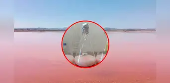 Descubren un pigmento anticancerígeno en un yacimiento de sal Descubren un pigmento anticancerígeno en un yacimiento de sal