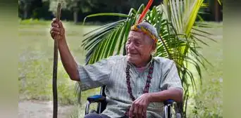 Fallece Antonio Sueyo Irangua "Sontone", sabio del pueblo indígena Harakbut en Madre de Dios Fallece Antonio Sueyo Irangua "Sontone", sabio del pueblo indígena Harakbut en Madre de Dios