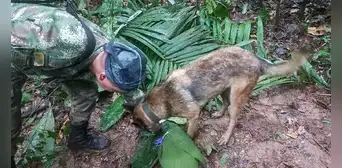 Encuentran huellas frescas que serían de niños perdidos en Colombia tras accidente de avioneta Encuentran huellas frescas que serían de niños perdidos en Colombia tras accidente de avioneta