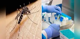 Piura: dengue avanza y aumentan fallecidos en región Piura: dengue avanza y aumentan fallecidos en región
