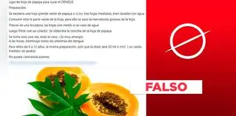 El dengue no se cura con el consumo de hojas de papaya