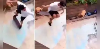 Perrito quita patineta a joven que practicaba skateboarding y causa risas en TikTok: “Buena, Firulais”