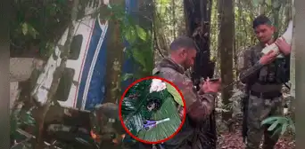 Desaparición de 4 niños en accidente de avioneta en Colombia: ¿qué se sabe después de 18 días? Desaparición de 4 niños en accidente de avioneta en Colombia: ¿qué se sabe después de 18 días?