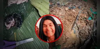 "Necesito a mis nietos": la súplica de la abuela de los 4 niños desaparecidos en selva de Colombia "Necesito a mis nietos": la súplica de la abuela de los 4 niños desaparecidos en selva de Colombia