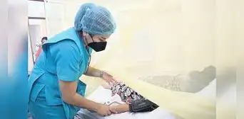 Dengue en el norte bajaría en 15 días, pero demorará en Lima Dengue en el norte bajaría en 15 días, pero demorará en Lima