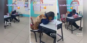 Perrita se acuesta sobre niña que escribe en su cuaderno durante clases: “Qué lindos”