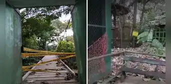 Animales están en abandono en Parque Natural de Ucayali: "Parece un cementerio"