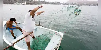 Pescadores son clave en la ley de las 5 millas marinas