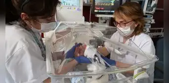 Nace el primer bebé por trasplante de útero en España: donación de la hermana lo posibilitó Nace el primer bebé por trasplante de útero en España: donación de la hermana lo posibilitó