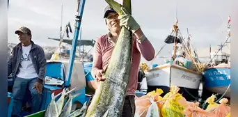 Ante El Niño se reducirá la oferta de pescado para los hogares