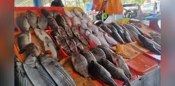 Precio del pescado se incrementa ante presencia de oleajes anómalos Precio del pescado se incrementa ante presencia de oleajes anómalos