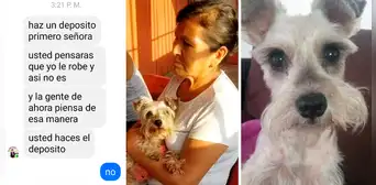 Ate: familia busca a mascota perdida y denuncia intento de estafa por S/500 de recompensa