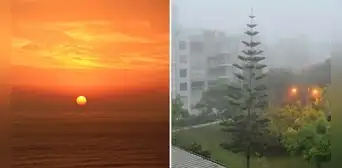 El verano, inverno, otoño y primavera podrían desaparecer por este motivo, advierten expertos El verano, inverno, otoño y primavera podrían desaparecer por este motivo, advierten expertos