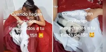 Gatito se queda dormido dentro de vestido de quinceañera y redes enternecen: “Qué lindo”