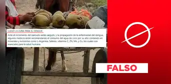 Dengue: el agua de coco no cura la enfermedad Dengue: el agua de coco no cura la enfermedad
