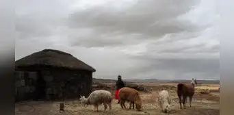 ¿Habrá lluvia en Arequipa, Cusco, Puno y otras regiones del sur? Esto dice Senamhi ¿Habrá lluvia en Arequipa, Cusco, Puno y otras regiones del sur? Esto dice Senamhi
