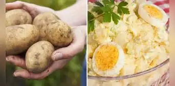 Día de la Papa: mira 3 recetas fáciles y económicas para preparar en casa con este tubérculo Día de la Papa: mira 3 recetas fáciles y económicas para preparar en casa con este tubérculo