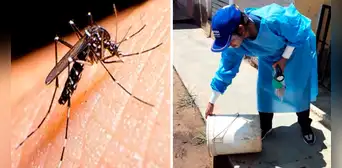 Dengue en Perú: reportan primer fallecido en Ventanilla por esta enfermedad Dengue en Perú: reportan primer fallecido en Ventanilla por esta enfermedad