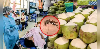 Pacientes de dengue toman agua de coco ante la falta de suero en Piura Pacientes de dengue toman agua de coco ante la falta de suero en Piura