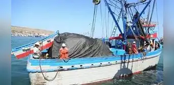 ¡Escasez y altos precios! Calentamiento del mar en la costa norte afecta producción de pescado ¡Escasez y altos precios! Calentamiento del mar en la costa norte afecta producción de pescado
