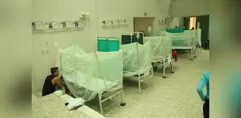 Dengue: Defensoría del Pueblo emplazó al Minsa por alta letalidad de la enfermedad