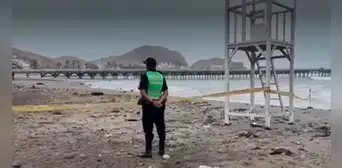 Cañete: vecinos encuentran granada de guerra tipo piña en la playa de Cerro Azul Cañete: vecinos encuentran granada de guerra tipo piña en la playa de Cerro Azul