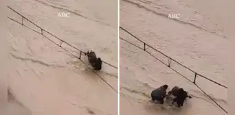 Madre y su bebé casi son arrastrados en medio de inundación en España