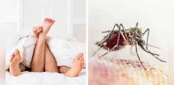 ¿El dengue se puede transmitir por relaciones sexuales?
