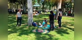 Pícnics en Miraflores: ¿qué requisitos propone la municipalidad para reuniones con más de 15 personas?