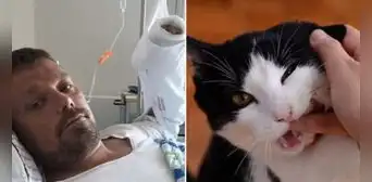 El dramático caso de Henrik: ¿cómo la mordedura de su gato le quitó la vida tras 4 años?