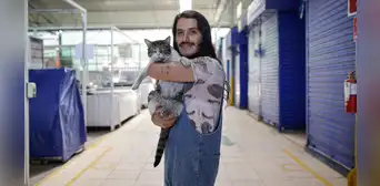 Sr. Mishi Wasi: el mejor amigo de los gatos Sr. Mishi Wasi: el mejor amigo de los gatos