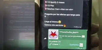 Caen ‘Zorrito Run Run’ y ’LegionMaster', hackers que vendían datos personales por Telegram y WhatsApp