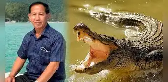 Hombre de 72 años muere tras ser atacado por 40 cocodrilos Hombre de 72 años muere tras ser atacado por 40 cocodrilos