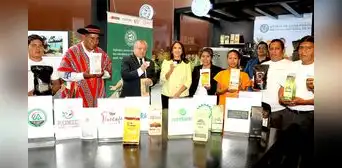 Productores que dejaron la coca por el café buscan abrirse a más mercados Productores que dejaron la coca por el café buscan abrirse a más mercados