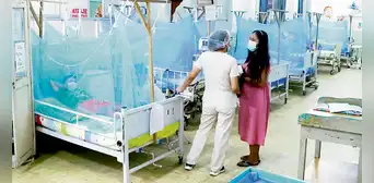 Piura: colapsan hospitales por dengue y van más de 30.000 contagios Piura: colapsan hospitales por dengue y van más de 30.000 contagios