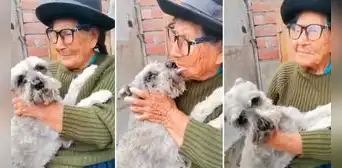 Adulta mayor rompe en llanto al reencontrarse con su perrito y enternece en TikTok: “Es lo más bello” Adulta mayor rompe en llanto al reencontrarse con su perrito y enternece en TikTok: “Es lo más bello”