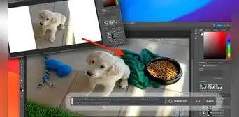 ¿Cómo acceder a la beta de Photoshop y probar su nueva función 'Relleno generativo'? ¿Cómo acceder a la beta de Photoshop y probar su nueva función 'Relleno generativo'?