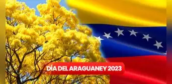 Día del Árbol en Venezuela 2023: ¿por qué el araguaney es el árbol nacional? Día del Árbol en Venezuela 2023: ¿por qué el araguaney es el árbol nacional?