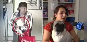 “Aprovechó que estaba distraída y se llevó a mi gatito”, mujer roba a mascota de ferretería en Santa Anita “Aprovechó que estaba distraída y se llevó a mi gatito”, mujer roba a mascota de ferretería en Santa Anita