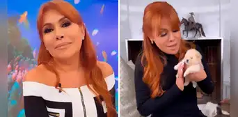 Magaly Medina presenta a sus 'nietos' a casi un mes de haber nacido: "Los cuidamos muchísimo"