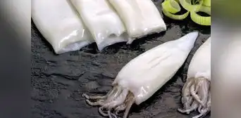 Cuota de captura de la pota será de 420.000 toneladas en 2023, anuncia Produce Cuota de captura de la pota será de 420.000 toneladas en 2023, anuncia Produce