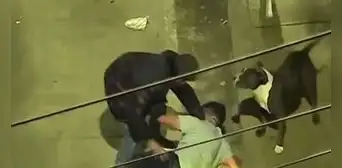 VES: capturan a delincuente que entrenó a su perro para asaltar a transeúntes