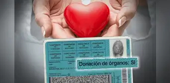 ¿Donarías tus órganos? Aunque no tengas la opción marcada en el DNI, estos podrán ser utilizados ¿Donarías tus órganos? Aunque no tengas la opción marcada en el DNI, estos podrán ser utilizados