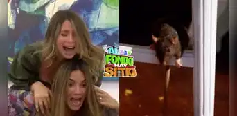 "Al fondo hay sitio": rata arruina galería de Macarena y el futuro de Alessia