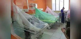 Piura registra 40 fallecidos y más de 30.000 casos de dengue
