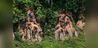 Áreas Naturales desprotegidas