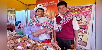 Jorge Figueroa, el agricultor de papas nativas, tiene 770 variedades y apunta a cultivar 2.000 Jorge Figueroa, el agricultor de papas nativas, tiene 770 variedades y apunta a cultivar 2.000
