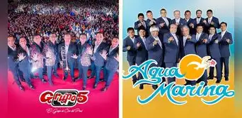 "Quiero escuchar tu voz": Grupo 5 y Agua Marina estrenan versión del tema "El Teléfono"